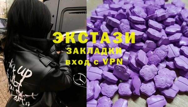 ECSTASY Бородино